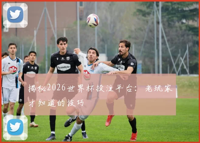 揭秘2026世界杯投注平台：老玩家才知道的技巧