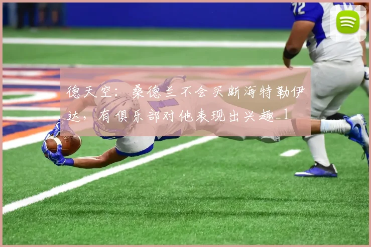 德天空：桑德兰不会买断海特勒伊达，有俱乐部对他表现出兴趣_1